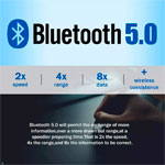 Realtek Bluetooth 5.0 Adapter